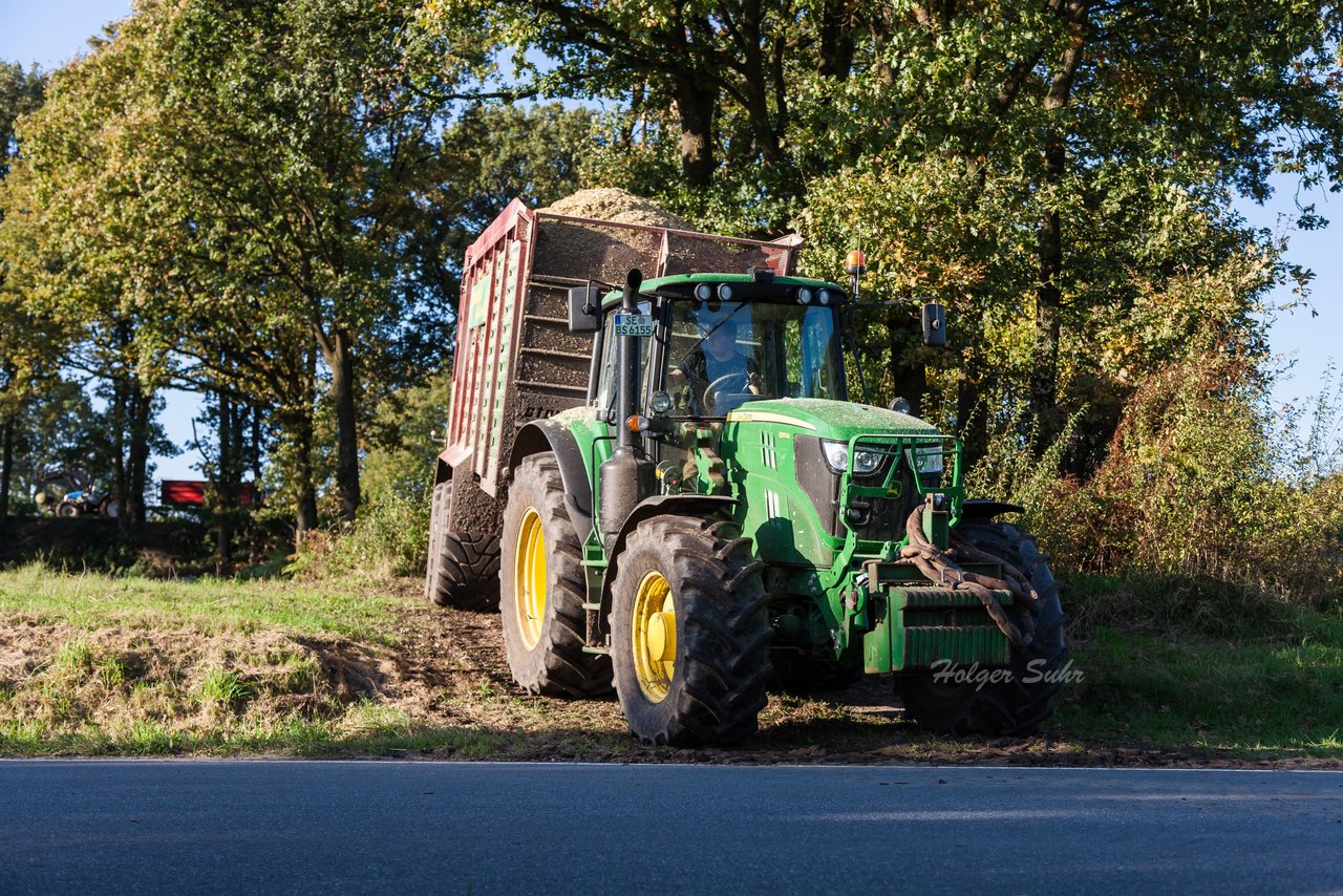 Bild 119 - Maisernte